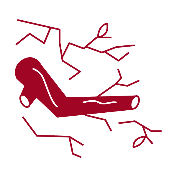 Geäst