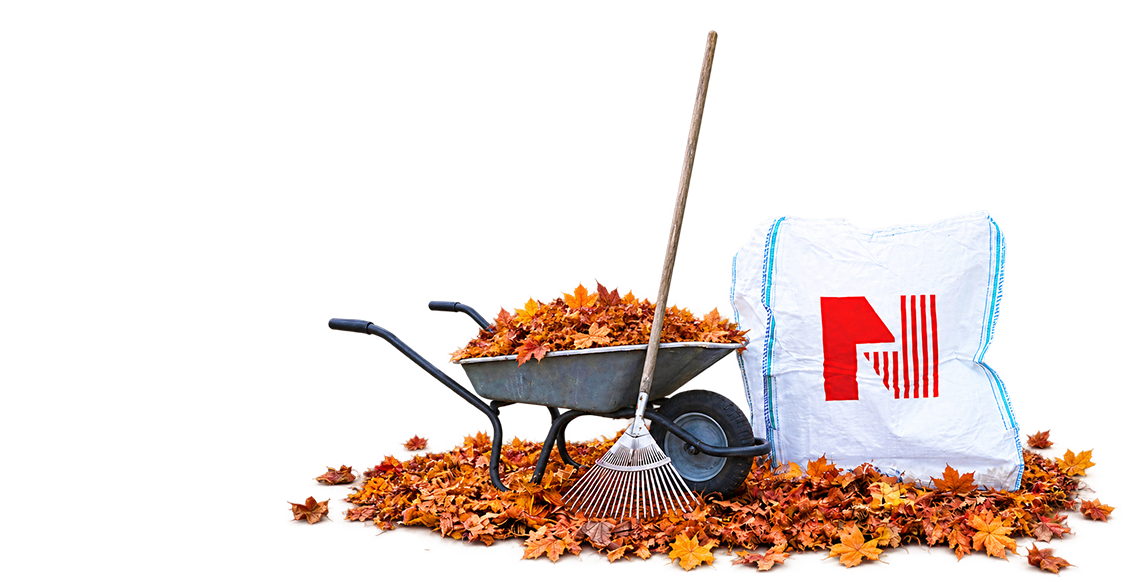 Nestler-Flex